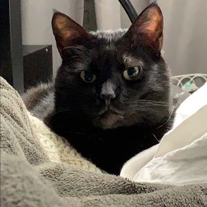 Meet your Posher, Lizzy